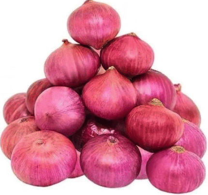 Onion (प्याज़)